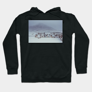 Sugar Loaf Sheep Hoodie